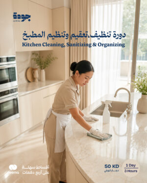 Kitchen cleaning, Sanitizing & Organizing